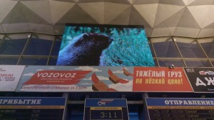 led screen 5760x4000 p13 6